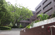 香港大学