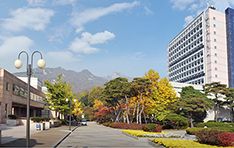 国民大学校