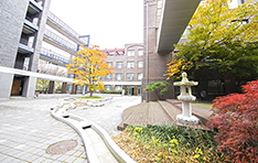 ソウル大学校