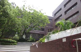 香港大学