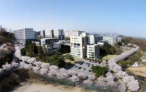 明知大学校の留学情報