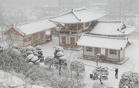 明知大学校