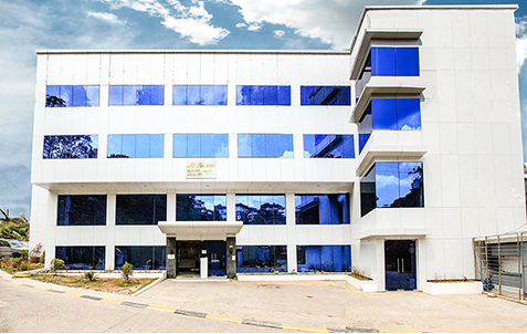 PINES International Academy (IELTSキャンパス)