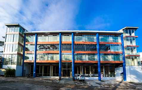 PINES International Academy